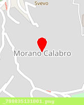posizione della IL MORO SRL