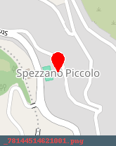 posizione della SAMED ELETTROMEDICALI DI ALVIGGI LUCIANO e C SNC