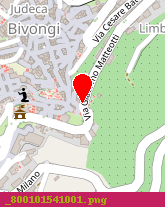 posizione della IL RISVEGLIO SCARL