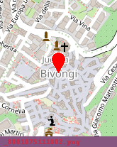 posizione della COMUNE DI BIVONGI 