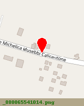 posizione della CARUSO MICHELE