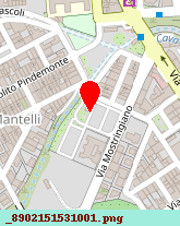 posizione della SAGONE NICOLO'