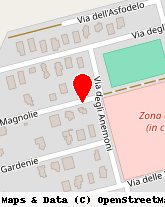 posizione della CONTU NINO REDENTO