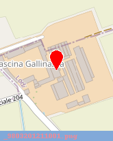 posizione della RINALDI FLLI