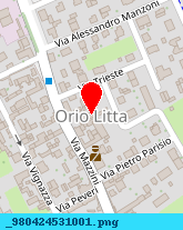 posizione della MALGUZZI RICCARDO