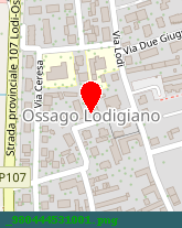 posizione della ELECTRIC SERVICE SNC DI GANDINI LUIGI