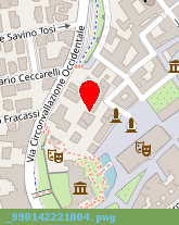 posizione della NPG SRL