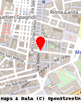 posizione della Web Napoli Agency di Alessandro Di Somma