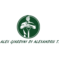 Alex Giardini di Alexandru T. caronno varesino