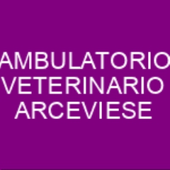AMBULATORIO VETERINARIO ARCEVIESE OSTRA