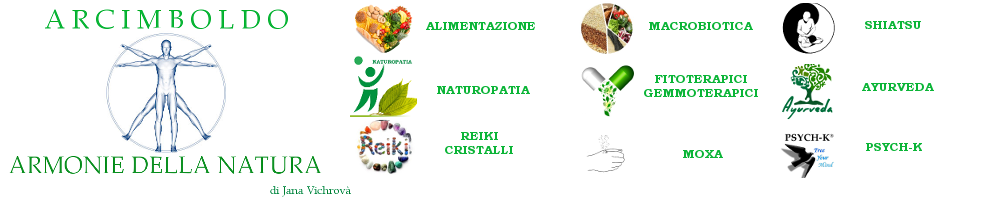 arcimboldo armonie della natura biella