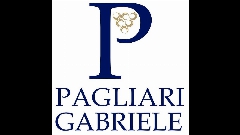 Pagliari Noleggio Carrelli Elevatori vigevano