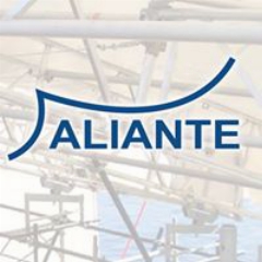 Aliante Srl Mantello