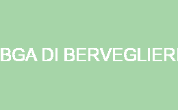 BGA DI BERVEGLIERI FERRARA