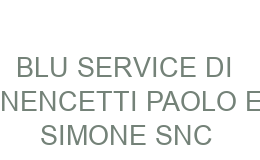 BLU SERVICE DI NENCETTI PAOLO E SIMONE SNC SESTO FIORENTINO
