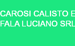 CAROSI CALISTO E FALA LUCIANO SRL SAN BENEDETTO DEL TRONTO