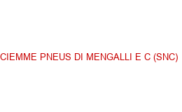 CIEMME PNEUS DI MENGALLI E C (SNC) CANDIA CANAVESE