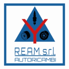 REAM SRL BRESCIA