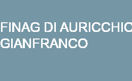 FINAG DI AURICCHIO GIANFRANCO eboli