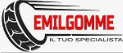 emilgomme srl bologna