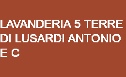 LAVANDERIA 5 TERRE  DI LUSARDI ANTONIO  E C LEVANTO