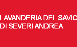 LAVANDERIA DEL SAVIO DI SEVERI ANDREA CESENA