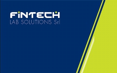 Fintech Lab Solutions Srl brescia