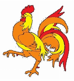 IL GALLO D.ORO BETTONA