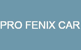 pro fenix car busto arsizio