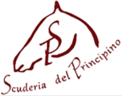 Scuderia del Principino bregnano