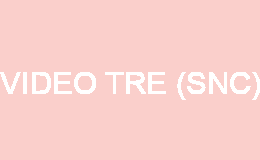 VIDEO TRE (SNC) PASIAN DI PRATO