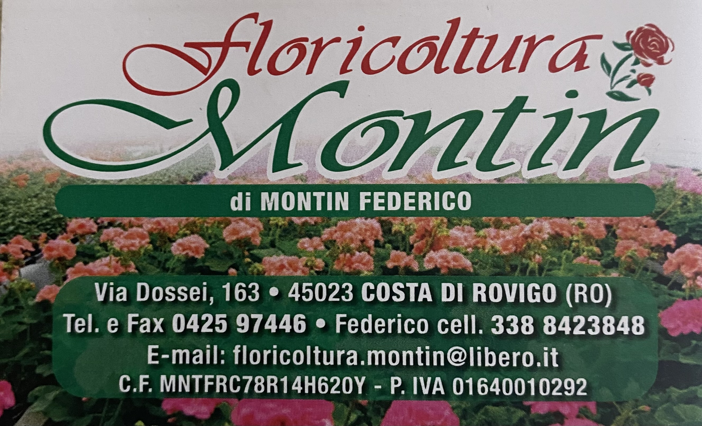 FLORICOLTURA MONTIN di MONTIN FEDERICO COSTA DI ROVIGO