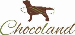 Chocoland Labrador di Luisella Traettino montebelluna