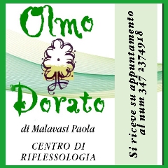 OLMO DORATO DI PAOLA MALAVASI MIRANDOLA