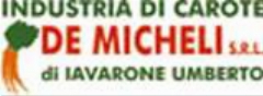 DE MICHELI SRL roseto degli abruzzi