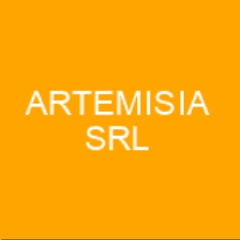 ARTEMISIA SRL RESTAURO OPERE D'ARTE FORLI