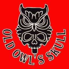 Old Owl s Skull  Tattoo studio Casoria