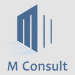 M CONSULT SRL GIAVENO