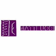 Matteucci viareggio