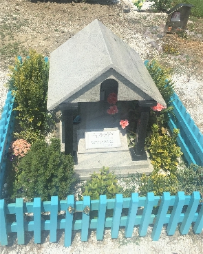 immagine del prodotto